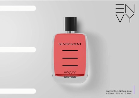 ادوپرفیوم مردانه ENVY مدل SILVER SCENT حجم ۱۰۰ میل ( اقتصادی )