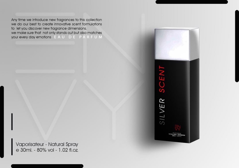 ادوپرفیوم مردانه ENVY مدل SILVER SCENT حجم ۳۰ میل ( طرح مارک )